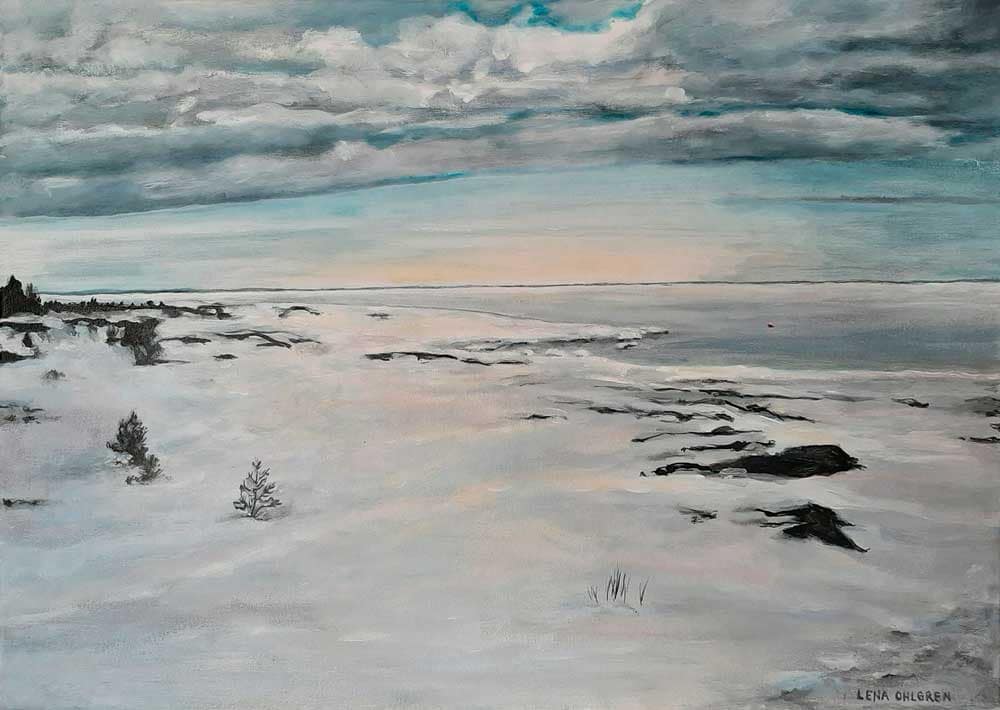 Kust i vinterskrud