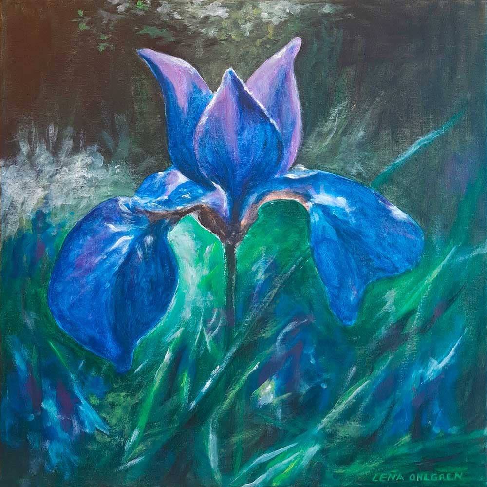 Iris