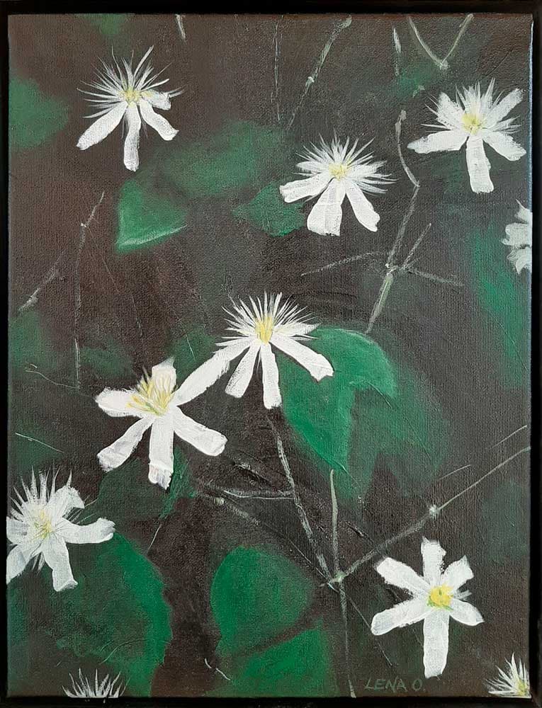 Klematis